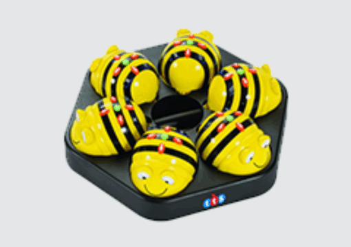 Bee-Bot Klassenbundel